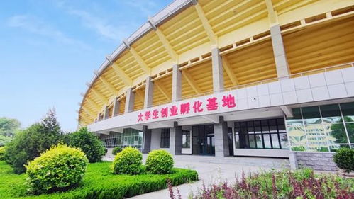 青春 活力 幸福,相約山東現代學院